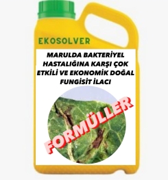 MARULDA BAKTERİYEL HASTALIĞINA KARŞI ÇOK ETKİLİ VE EKONOMİK DOĞAL FUNGİSİT İLACI İMALAT FORMÜLÜ VE ÜRETİM YÖNTEMİ VE UYGULAMA DOZAJLARI