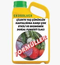 ÇİLEKTE YAŞ ÇÜRÜKLÜK HASTALIĞINA KARŞI ÇOK ETKİLİ VE EKONOMİK DOĞAL FUNGİSİT İLACI İMALAT FORMÜLÜ VE ÜRETİM YÖNTEMİ VE UYGULAMA DOZAJLARI