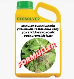 MARULDA FUSARİUM KÖK ÇÜRÜKLÜĞÜ HASTALIĞINA KARŞI ÇOK ETKİLİ VE EKONOMİK DOĞAL FUNGİSİT İLACI İMALAT FORMÜLÜ VE ÜRETİM YÖNTEMİ VE UYGULAMA DOZAJLARI