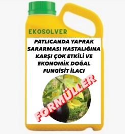 PATLICANDA YAPRAK SARARMASI HASTALIĞINA KARŞI ÇOK ETKİLİ VE EKONOMİK DOĞAL FUNGİSİT İLACI İMALAT FORMÜLÜ VE ÜRETİM YÖNTEMİ VE UYGULAMA DOZAJLARI