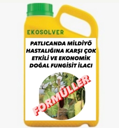 PATLICANDA MİLDİYÖ HASTALIĞINA KARŞI ÇOK ETKİLİ VE EKONOMİK DOĞAL FUNGİSİT İLACI İMALAT FORMÜLÜ VE ÜRETİM YÖNTEMİ VE UYGULAMA DOZAJLARI