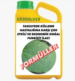 FASULYEDE KÜLLEME HASTALIĞINA KARŞI ÇOK ETKİLİ VE EKONOMİK DOĞAL FUNGİSİT İLACI İMALAT FORMÜLÜ VE ÜRETİM YÖNTEMİ VE UYGULAMA DOZAJLARI