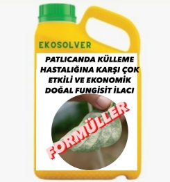 PATLICANDA KÜLLEME HASTALIĞINA KARŞI ÇOK ETKİLİ VE EKONOMİK DOĞAL FUNGİSİT İLACI İMALAT FORMÜLÜ VE ÜRETİM YÖNTEMİ VE UYGULAMA DOZAJLARI