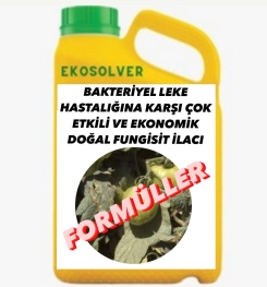 BAKTERİYEL LEKE HASTALIĞINA KARŞI ÇOK ETKİLİ VE EKONOMİK DOĞAL FUNGİSİT İLACI İMALAT FORMÜLÜ VE ÜRETİM YÖNTEMİ VE UYGULAMA DOZAJLARI