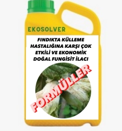 FINDIKTA KÜLLEME HASTALIĞINA KARŞI ÇOK ETKİLİ VE EKONOMİK DOĞAL FUNGİSİT İLACI İMALAT FORMÜLÜ VE ÜRETİM YÖNTEMİ VE UYGULAMA DOZAJLARI