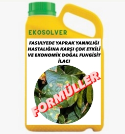 FASULYEDE YAPRAK YANIKLIĞI HASTALIĞINA KARŞI ÇOK ETKİLİ VE EKONOMİK DOĞAL FUNGİSİT İLACI İMALAT FORMÜLÜ VE ÜRETİM YÖNTEMİ VE UYGULAMA DOZAJLARI