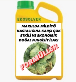 MARULDA MİLDİYÖ HASTALIĞINA KARŞI ÇOK ETKİLİ VE EKONOMİK DOĞAL FUNGİSİT İLACI İMALAT FORMÜLÜ VE ÜRETİM YÖNTEMİ VE UYGULAMA DOZAJLARI