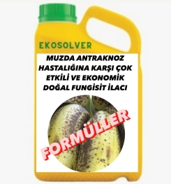 MUZDA ANTRAKNOZ HASTALIĞINA KARŞI ÇOK ETKİLİ VE EKONOMİK DOĞAL FUNGİSİT İLACI İMALAT FORMÜLÜ VE ÜRETİM YÖNTEMİ VE UYGULAMA DOZAJLARI