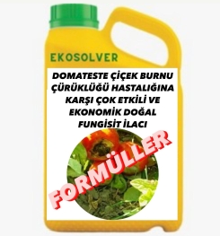 DOMATESTE ÇİÇEK BURNU ÇÜRÜKLÜĞÜ HASTALIĞINA KARŞI ÇOK ETKİLİ VE EKONOMİK DOĞAL FUNGİSİT İLACI İMALAT FORMÜLÜ VE ÜRETİM YÖNTEMİ VE UYGULAMA DOZAJLARI