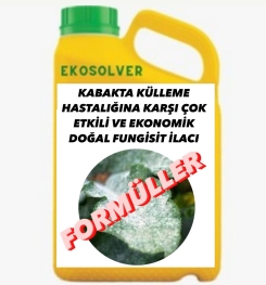 KABAKTA KÜLLEME HASTALIĞINA KARŞI ÇOK ETKİLİ VE EKONOMİK DOĞAL FUNGİSİT İLACI İMALAT FORMÜLÜ VE ÜRETİM YÖNTEMİ VE UYGULAMA DOZAJLARI