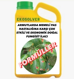 ARMUTLARDA MEMELİ PAS HASTALIĞINA KARŞI ÇOK ETKİLİ VE EKONOMİK DOĞAL FUNGİSİT İLACI İMALAT FORMÜLÜ VE ÜRETİM YÖNTEMİ VE UYGULAMA DOZAJLARI