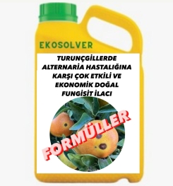 TURUNÇGİLLERDE ALTERNARİA HASTALIĞINA KARŞI ÇOK ETKİLİ VE EKONOMİK DOĞAL FUNGİSİT İLACI İMALAT FORMÜLÜ VE ÜRETİM YÖNTEMİ VE UYGULAMA DOZAJLARI