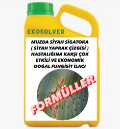 MUZDA SİYAH SİGATOKA ( SİYAH YAPRAK ÇİZGİSİ ) HASTALIĞINA KARŞI ÇOK ETKİLİ VE EKONOMİK DOĞAL FUNGİSİT İLACI İMALAT FORMÜLÜ VE ÜRETİM YÖNTEMİ VE UYGULAMA DOZAJLARI