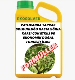 PATLICANDA YAPRAK SOLGUNLUĞU HASTALIĞINA KARŞI ÇOK ETKİLİ VE EKONOMİK DOĞAL FUNGİSİT İLACI İMALAT FORMÜLÜ VE ÜRETİM YÖNTEMİ VE UYGULAMA DOZAJLARI