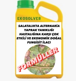 SALATALIKTA ALTERNARİA YAPRAK YANIKLIĞI HASTALIĞINA KARŞI ÇOK ETKİLİ VE EKONOMİK DOĞAL FUNGİSİT İLACI İMALAT FORMÜLÜ VE ÜRETİM YÖNTEMİ VE UYGULAMA DOZAJLARI