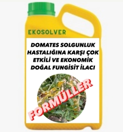 DOMATES SOLGUNLUK HASTALIĞINA KARŞI ÇOK ETKİLİ VE EKONOMİK DOĞAL FUNGİSİT İLACI İMALAT FORMÜLÜ VE ÜRETİM YÖNTEMİ VE UYGULAMA DOZAJLARI