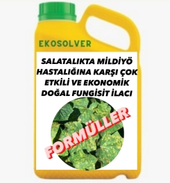 SALATALIKTA MİLDİYÖ HASTALIĞINA KARŞI ÇOK ETKİLİ VE EKONOMİK DOĞAL FUNGİSİT İLACI İMALAT FORMÜLÜ VE ÜRETİM YÖNTEMİ VE UYGULAMA DOZAJLARI