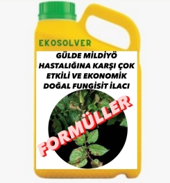 GÜLDE MİLDİYÖ HASTALIĞINA KARŞI ÇOK ETKİLİ VE EKONOMİK DOĞAL FUNGİSİT İLACI İMALAT FORMÜLÜ VE ÜRETİM YÖNTEMİ VE UYGULAMA DOZAJLARI