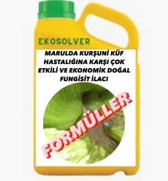 MARULDA KURŞUNİ KÜF HASTALIĞINA KARŞI ÇOK ETKİLİ VE EKONOMİK DOĞAL FUNGİSİT İLACI İMALAT FORMÜLÜ VE ÜRETİM YÖNTEMİ VE UYGULAMA DOZAJLARI