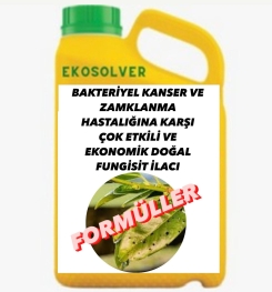 BAKTERİYEL KANSER VE ZAMKLANMA HASTALIĞINA KARŞI ÇOK ETKİLİ VE EKONOMİK DOĞAL FUNGİSİT İLACI İMALAT FORMÜLÜ VE ÜRETİM YÖNTEMİ VE UYGULAMA DOZAJLARI