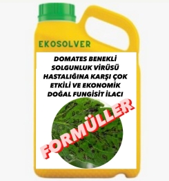 DOMATES BENEKLİ SOLGUNLUK VİRÜSÜ HASTALIĞINA KARŞI ÇOK ETKİLİ VE EKONOMİK DOĞAL FUNGİSİT İLACI İMALAT FORMÜLÜ VE ÜRETİM YÖNTEMİ VE UYGULAMA DOZAJLARI