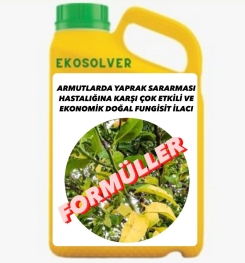 ARMUTLARDA YAPRAK SARARMASI HASTALIĞINA KARŞI ÇOK ETKİLİ VE EKONOMİK DOĞAL FUNGİSİT İLACI İMALAT FORMÜLÜ VE ÜRETİM YÖNTEMİ VE UYGULAMA DOZAJLARI