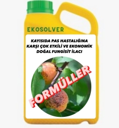 KAYISIDA PAS HASTALIĞINA KARŞI ÇOK ETKİLİ VE EKONOMİK DOĞAL FUNGİSİT İLACI İMALAT FORMÜLÜ VE ÜRETİM YÖNTEMİ VE UYGULAMA DOZAJLARI