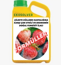 ÇİLEKTE KÜLLEME HASTALIĞINA KARŞI ÇOK ETKİLİ VE EKONOMİK DOĞAL FUNGİSİT İLACI İMALAT FORMÜLÜ VE ÜRETİM YÖNTEMİ VE UYGULAMA DOZAJLARI