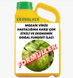 MOZAİK VİRÜS HASTALIĞINA KARŞI ÇOK ETKİLİ VE EKONOMİK DOĞAL FUNGİSİT İLACI İMALAT FORMÜLÜ VE ÜRETİM YÖNTEMİ VE UYGULAMA DOZAJLARI