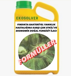 FINDIKTA BAKTERİYEL YANIKLIK HASTALIĞINA KARŞI ÇOK ETKİLİ VE EKONOMİK DOĞAL FUNGİSİT İLACI İMALAT FORMÜLÜ VE ÜRETİM YÖNTEMİ VE UYGULAMA DOZAJLARI