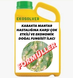 KABAKTA MANTAR HASTALIĞINA KARŞI ÇOK ETKİLİ VE EKONOMİK DOĞAL FUNGİSİT İLACI İMALAT FORMÜLÜ VE ÜRETİM YÖNTEMİ VE UYGULAMA DOZAJLARI