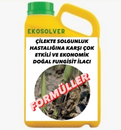 ÇİLEKTE SOLGUNLUK HASTALIĞINA KARŞI ÇOK ETKİLİ VE EKONOMİK DOĞAL FUNGİSİT İLACI İMALAT FORMÜLÜ VE ÜRETİM YÖNTEMİ VE UYGULAMA DOZAJLARI