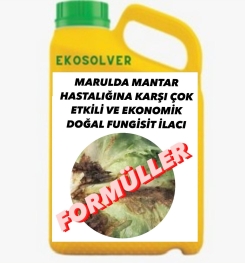 MARULDA MANTAR HASTALIĞINA KARŞI ÇOK ETKİLİ VE EKONOMİK DOĞAL FUNGİSİT İLACI İMALAT FORMÜLÜ VE ÜRETİM YÖNTEMİ VE UYGULAMA DOZAJLARI