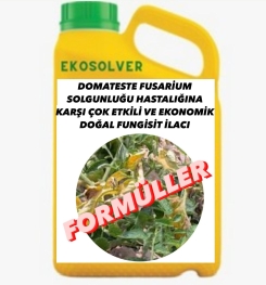 DOMATESTE FUSARİUM SOLGUNLUĞU HASTALIĞINA KARŞI ÇOK ETKİLİ VE EKONOMİK DOĞAL FUNGİSİT İLACI İMALAT FORMÜLÜ VE ÜRETİM YÖNTEMİ VE UYGULAMA DOZAJLARI