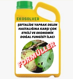 ŞEFTALİDE YAPRAK DELEN HASTALIĞINA KARŞI ÇOK ETKİLİ VE EKONOMİK DOĞAL FUNGİSİT İLACI İMALAT FORMÜLÜ VE ÜRETİM YÖNTEMİ VE UYGULAMA DOZAJLARI