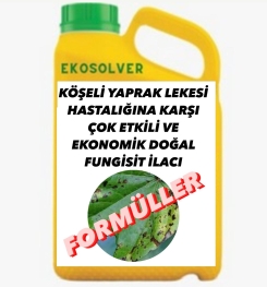 KÖŞELİ YAPRAK LEKESİ HASTALIĞINA KARŞI ÇOK ETKİLİ VE EKONOMİK DOĞAL FUNGİSİT İLACI İMALAT FORMÜLÜ VE ÜRETİM YÖNTEMİ VE UYGULAMA DOZAJLARI