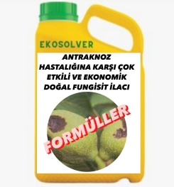 ANTRAKNOZ HASTALIĞINA KARŞI ÇOK ETKİLİ VE EKONOMİK DOĞAL FUNGİSİT İLACI İMALAT FORMÜLÜ VE ÜRETİM YÖNTEMİ VE UYGULAMA DOZAJLARI