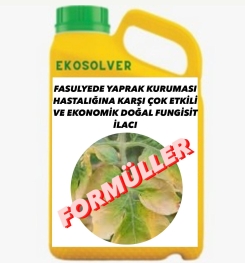 FASULYEDE YAPRAK KURUMASI HASTALIĞINA KARŞI ÇOK ETKİLİ VE EKONOMİK DOĞAL FUNGİSİT İLACI İMALAT FORMÜLÜ VE ÜRETİM YÖNTEMİ VE UYGULAMA DOZAJLARI