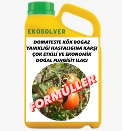 DOMATESTE KÖK BOĞAZ YANIKLIĞI  HASTALIĞINA KARŞI ÇOK ETKİLİ VE EKONOMİK DOĞAL FUNGİSİT İLACI İMALAT FORMÜLÜ VE ÜRETİM YÖNTEMİ VE UYGULAMA DOZAJLARI