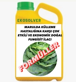 MARULDA KÜLLEME HASTALIĞINA KARŞI ÇOK ETKİLİ VE EKONOMİK DOĞAL FUNGİSİT İLACI İMALAT FORMÜLÜ VE ÜRETİM YÖNTEMİ VE UYGULAMA DOZAJLARI