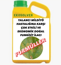 YALANCI MİLDİYÖ HASTALIĞINA KARŞI ÇOK ETKİLİ VE EKONOMİK DOĞAL FUNGİSİT İLACI İMALAT FORMÜLÜ VE ÜRETİM YÖNTEMİ VE UYGULAMA DOZAJLARI