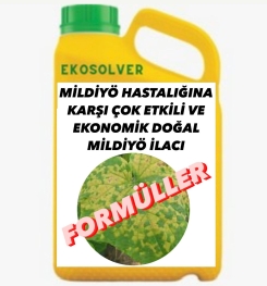 MİLDİYÖ HASTALIĞINA KARŞI ÇOK ETKİLİ VE EKONOMİK DOĞAL MİLDİYÖ İLACI İMALAT FORMÜLÜ VE ÜRETİM YÖNTEMİ VE UYGULAMA DOZAJLARI