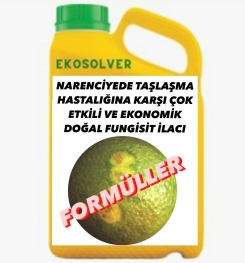 NARENCİYEDE TAŞLAŞMA HASTALIĞINA KARŞI ÇOK ETKİLİ VE EKONOMİK DOĞAL FUNGİSİT İLACI İMALAT FORMÜLÜ VE ÜRETİM YÖNTEMİ VE UYGULAMA DOZAJLARI