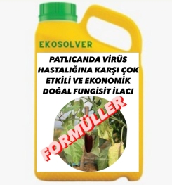 PATLICANDA VİRÜS HASTALIĞINA KARŞI ÇOK ETKİLİ VE EKONOMİK DOĞAL FUNGİSİT İLACI İMALAT FORMÜLÜ VE ÜRETİM YÖNTEMİ VE UYGULAMA DOZAJLARI