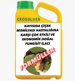 KAYISIDA ÇİÇEK MONİLYASI HASTALIĞINA KARŞI ÇOK ETKİLİ VE EKONOMİK DOĞAL FUNGİSİT İLACI İMALAT FORMÜLÜ VE ÜRETİM YÖNTEMİ VE UYGULAMA DOZAJLARI