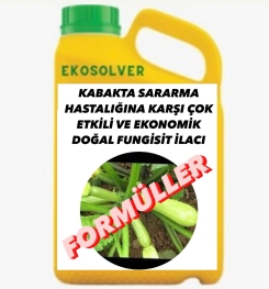 KABAKTA SARARMA HASTALIĞINA KARŞI ÇOK ETKİLİ VE EKONOMİK DOĞAL FUNGİSİT İLACI İMALAT FORMÜLÜ VE ÜRETİM YÖNTEMİ VE UYGULAMA DOZAJLARI