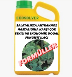 SALATALIKTA ANTRAKNOZ HASTALIĞINA KARŞI ÇOK ETKİLİ VE EKONOMİK DOĞAL FUNGİSİT İLACI İMALAT FORMÜLÜ VE ÜRETİM YÖNTEMİ VE UYGULAMA DOZAJLARI