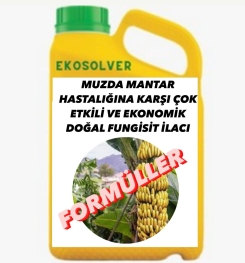 MUZDA MANTAR HASTALIĞINA KARŞI ÇOK ETKİLİ VE EKONOMİK DOĞAL FUNGİSİT İLACI İMALAT FORMÜLÜ VE ÜRETİM YÖNTEMİ VE UYGULAMA DOZAJLARI