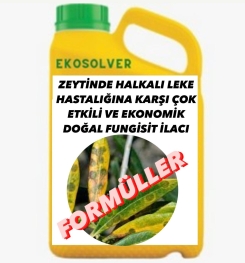 ZEYTİNDE HALKALI LEKE HASTALIĞINA KARŞI ÇOK ETKİLİ VE EKONOMİK DOĞAL FUNGİSİT İLACI İMALAT FORMÜLÜ VE ÜRETİM YÖNTEMİ VE UYGULAMA DOZAJLARI