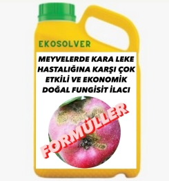 MEYVELERDE KARA LEKE HASTALIĞINA KARŞI ÇOK ETKİLİ VE EKONOMİK DOĞAL FUNGİSİT İLACI İMALAT FORMÜLÜ VE ÜRETİM YÖNTEMİ VE UYGULAMA DOZAJLARI